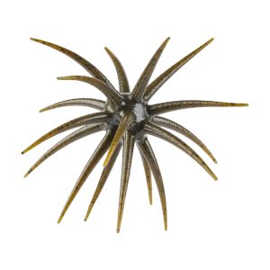 Berkley PowerBait® MaxScent 'Moeba