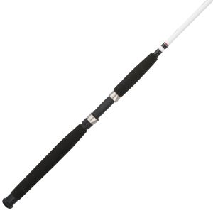 Berkley Big Game™ Spinning Rod