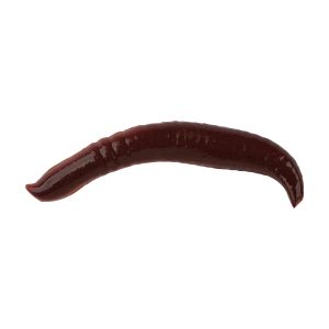 Berkley Gulp!® Pinched Crawler