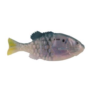 Berkley PowerBait® Saltwater Gilly