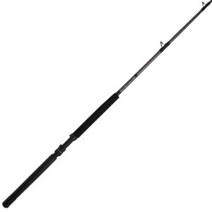 PENN Ally™ II Conventional Boat Rod