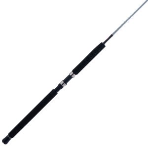 PENN Prevail® III Spinning Jig Rod