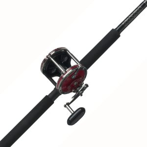 PENN Senator® Conventional Rod & Reel Combo