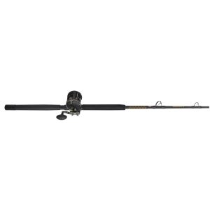 PENN Squall® II Level Wind Conventional Combo