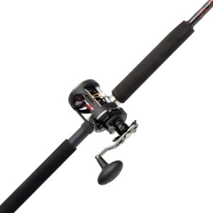 PENN Warfare® Star Drag Level Wind Conventional Combo