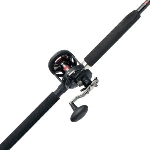 PENN Warfare™ Star Drag Conventional Rod & Reel Combo
